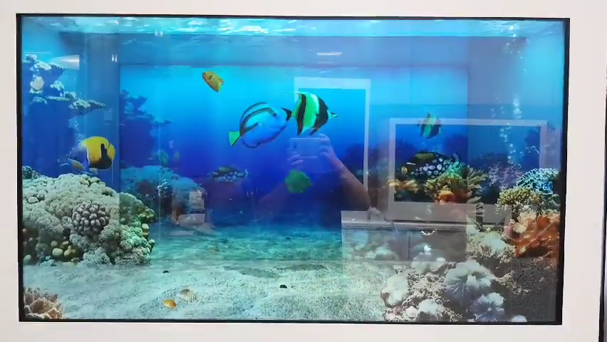 [2019.04] Digital fish tank - 48 inch transparent touch showcase production and ...
